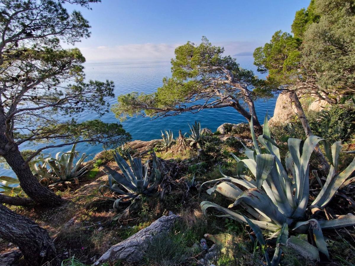 Apartment Villa Mirna Makarska Eksteriør billede