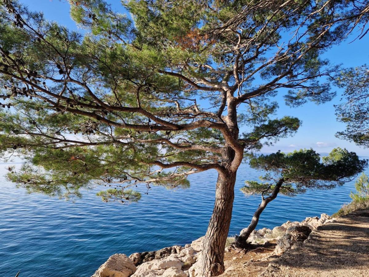 Apartment Villa Mirna Makarska Eksteriør billede