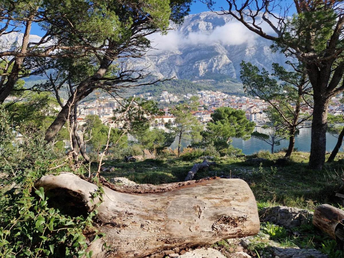 Apartment Villa Mirna Makarska Eksteriør billede